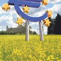 Cтраны БРИКС передумали спасать экономику Европы