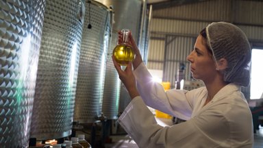 Põrgukuumuse tõttu elavad oliivõli tootjad läbi raskeid aegu