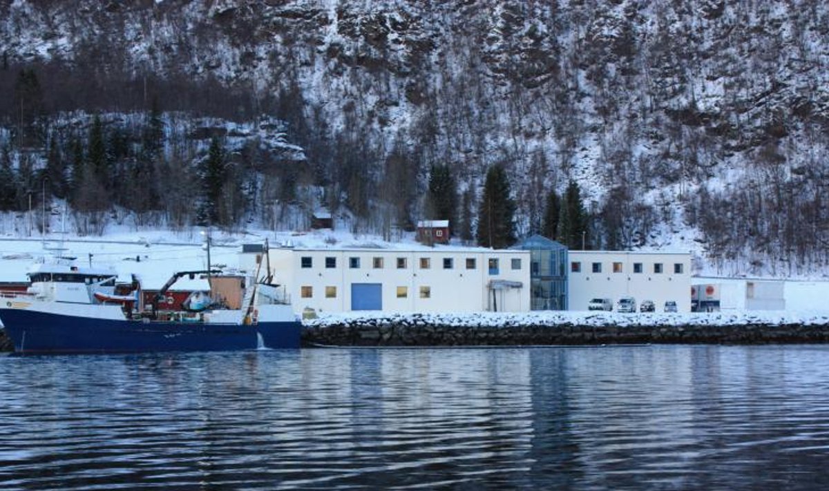 Firma Astafjord Slakteri kalatehas saab eestlaste abiga suuremaks. Tulevikus saadetakse 5000-ruutmeetrisest hoonest päevas välja umbes sada tonni ehk neli veokitäit lõhet.