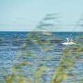 Veeteadlane: kliimamuutustel võivad Eesti veekogudele olla hoopis soodsad tagajärjed