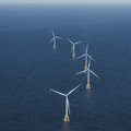 Probleemid USA-s tõid Taani tuuleenergiafirma aktsiale hävingu