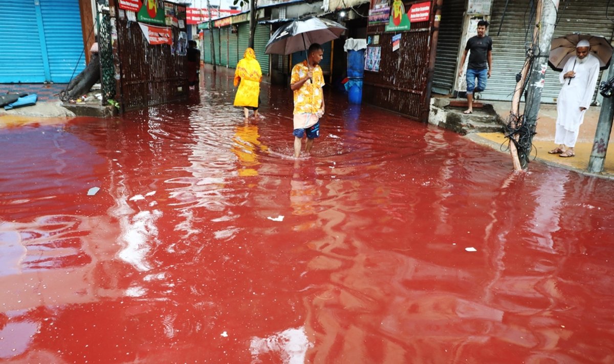 Кровавый дождь в Дакке (Бангладеш)