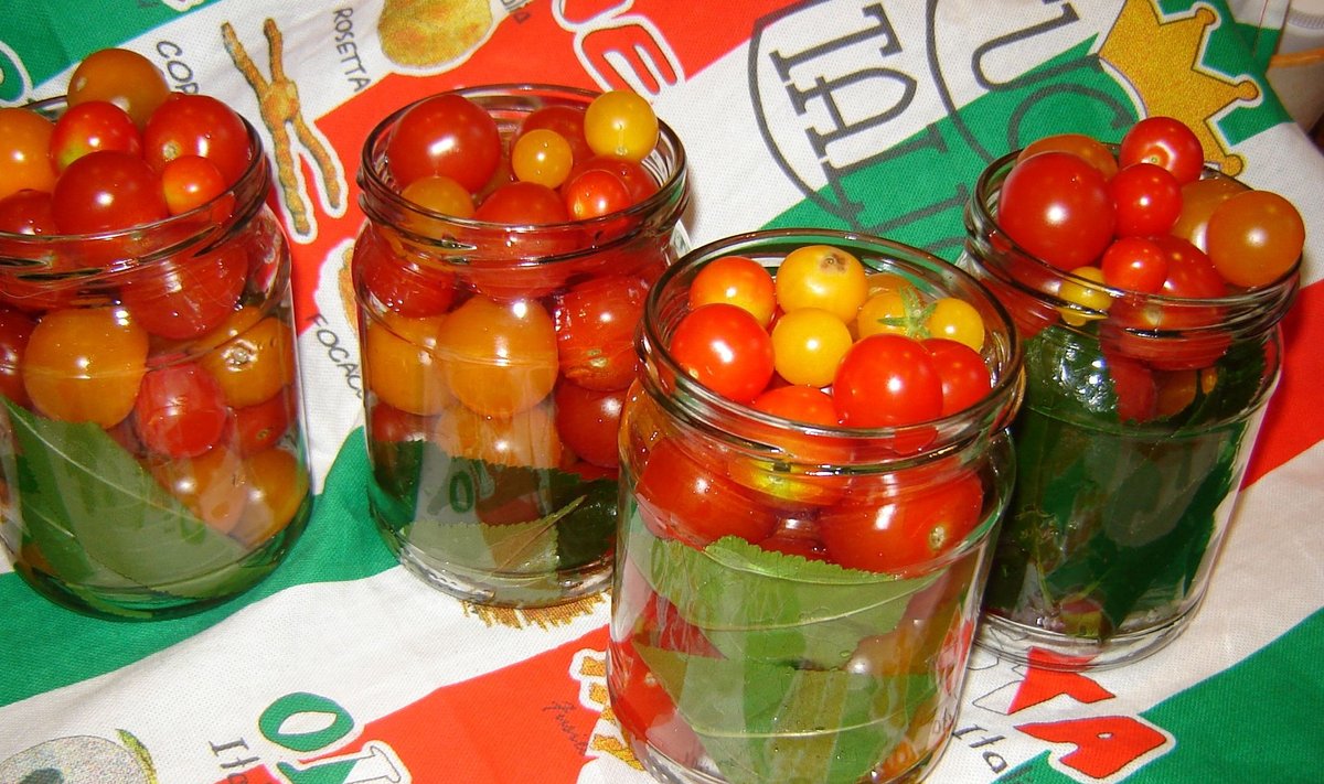 Kirsilehtedega marineeritud tomatid