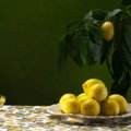 RETSEPT | Hurmav sidruninaps Limoncello särab kui pudelisse püütud päike! Ja seda on väga lihtne ise valmistada