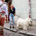 FOTOD | Neljakäpalised toetasid solidaarsusmarsil kartlikke koeri