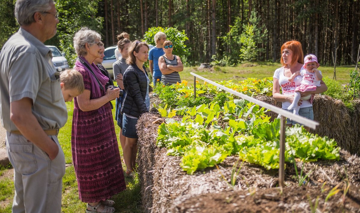 Avatud talude päev eelmisel aastal Kännu talus Tartumaal.