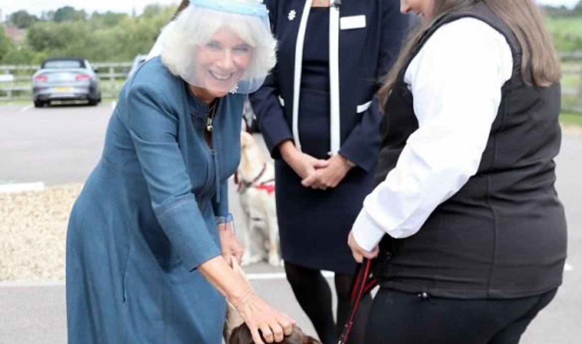 Hertsoginna Camilla tutvumas koroonadetektiividest koeraga