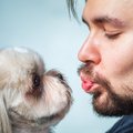 Uuring: habemetega mehed kannavad rohkem baktereid kui koerad