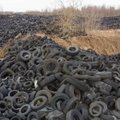 Отравили землю, воздух и воду: дети могут отучить родителей выбрасывать шины и мусор в лесу