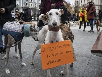 Общественная акция в Испании за ужесточение закона о защите животных, март 2023 года