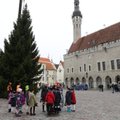 FOTOD ja VIDEOD | Tallinna Raekoja platsile püstitati täna jõulukuusk