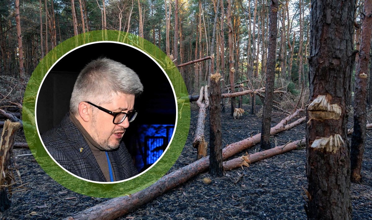Ukraina suursaadik Rootsis Andrii Plakhotniuk. Taustal sõjas kannatada saanud mets Ukrainas.