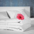 SELLE PEALE SA KÜLL EI TULE | Miks perenaised vannuvad, et valge on parim värv voodipesu ja rätikute jaoks