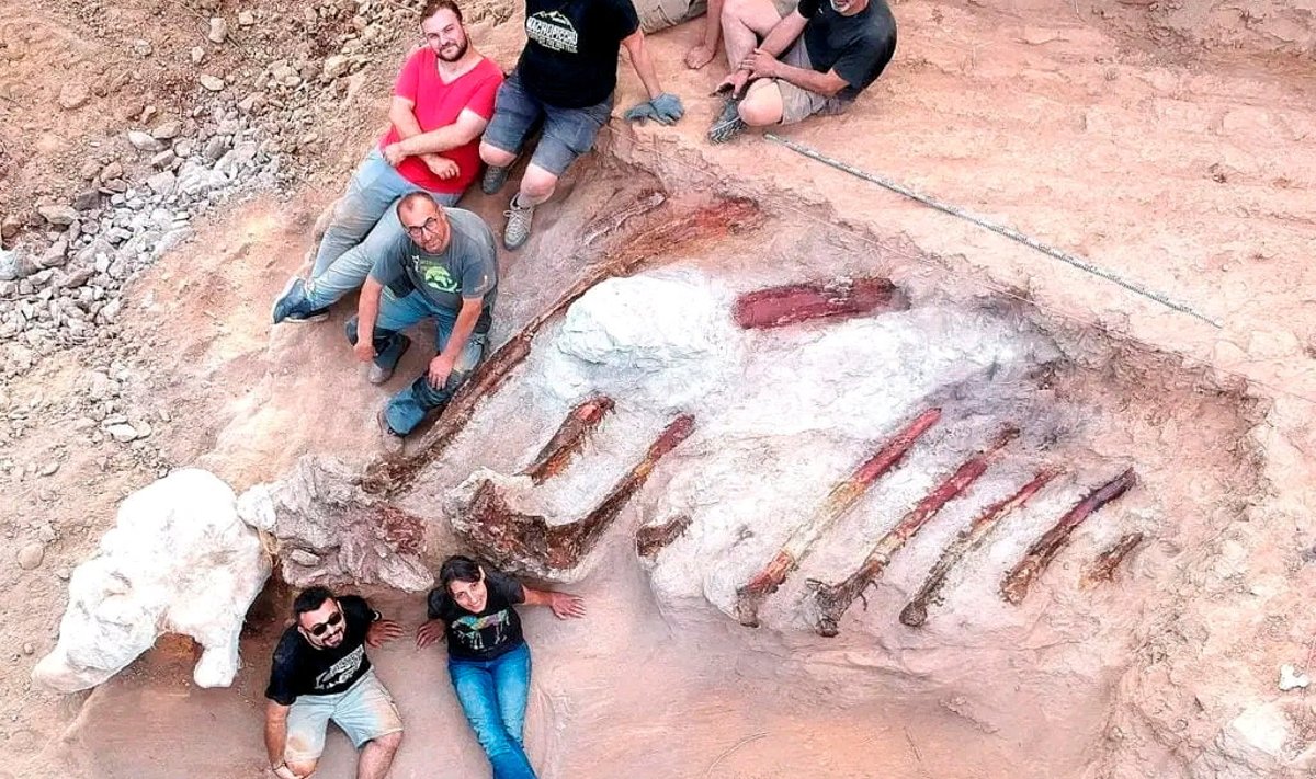 PORTUGAL-DINOSAUR/SKELETON-STILLS