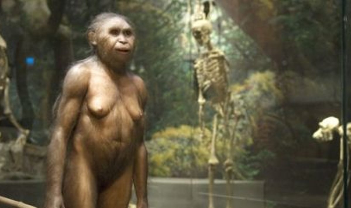 Kääbik ehk Homo floresiensis