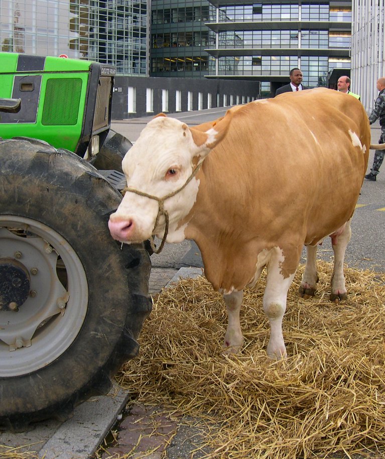 Põllumeeste meeleavaldus Euroopa Parlamendi hoone ees Strasbourgis.