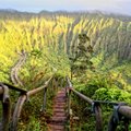 ФОТО: Любимую экстремалами "Лестницу в небеса" могут вновь открыть для туристов