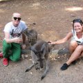 FOTOD päikeselisest Austraaliast: Tipp ja Täpp, kängurud ja ilged putukad!