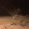 FOTOD: Tormi algust kuulutav lumesadu jõudis Hiiumaale