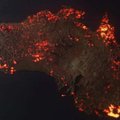3D-визуализация пожаров в Австралии: масштабы катастрофы поражают