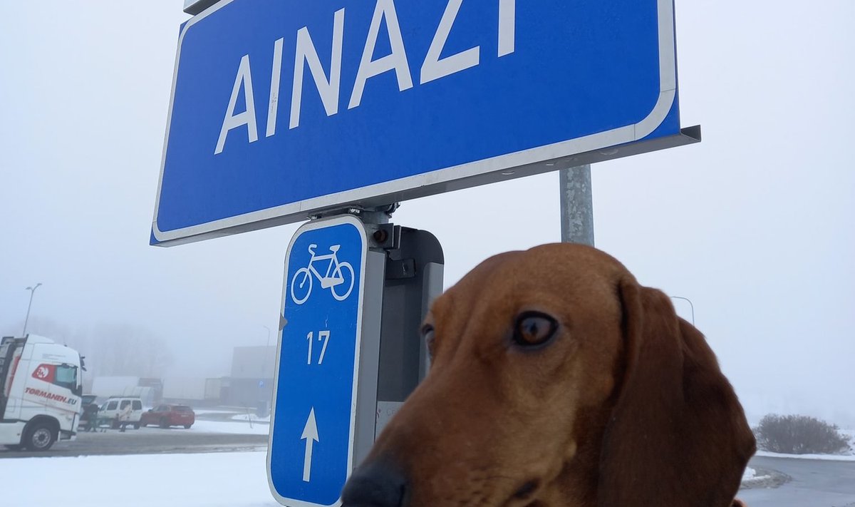 Ilse teel sünnimaale