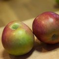 Gunnar Aarma: õunad aitavad lihtsalt kaalu alandada