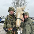 FOTOD | Haruldane hobupatrull Eesti lõunapiiril: suksud vahetasid moodsa tehnika välja
