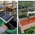 VIDEOD ja FOTOD | Eestlaste tark poekäru muudab ostlemist, robotkäsi aga maasikate korjamist