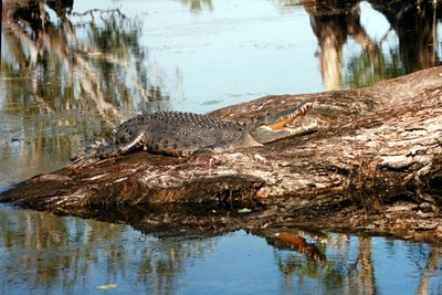 Kakadu rahvuspark.