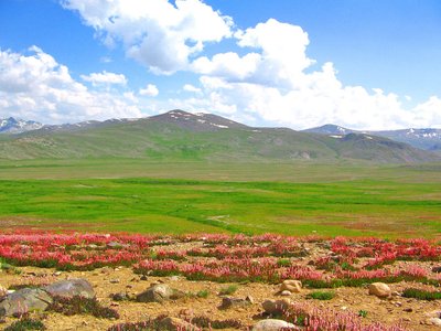 Deosai, Pakistan.