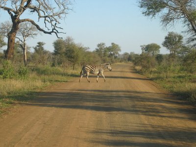 Krugeri rahvuspark.