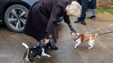 Briti kuningakoda leinas: kuninganna Camilla jättis hüvasti armsa sõbraga