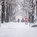 В Таллинне уборка снега и борьба с гололедом ведутся круглосуточно