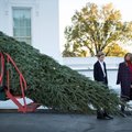 FOTOD ja VIDEO | Oh kuusepuu, oh kuusepuu! Valgesse Majja saabus eriti pirakas jõulukuusk