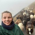 Простая жизнь. Овцы в горах и навоз в хлеву: как две девушки из Таллинна оказались волонтерами в Австрии