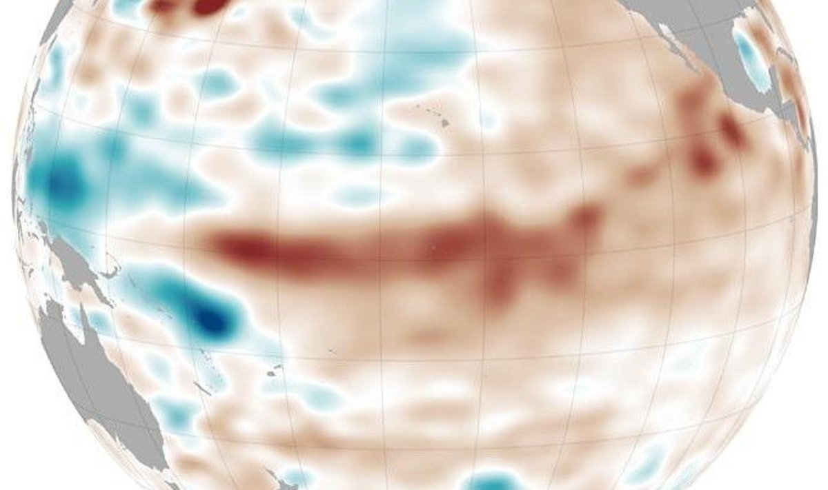 Vaikse ookeani pinnakihi temperatuur märtsis. (Foto: NASA Earth Observatory/JPL)
