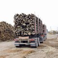 Tammist: MKM tahab taastada puidupõletamise toetuse Eesti Energiale