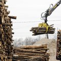 Uuring: metsa- ja puidusektor annab tööd ligi 59 000 inimesele ja suudab ainsana väljaspool tõmbekeskusi pakkuda keskmisest kõrgema palgaga tööd