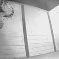 Kurb uudis: Tallinna Loomaaia lumeleopardipoeg suri