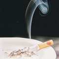 Пять мифов о сигаретных окурках