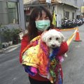 Taiwan keelas koerte ja kasside söömise