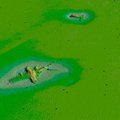 ФОТО | В водах Сааремаа нашли затонувший военный самолет