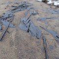 Muraste rannast avastati masuudireostus