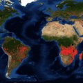 NASA satelliidikaart näitab, et Aafrikas lõõmab kordi enam tulekahjusid kui Brasiilias