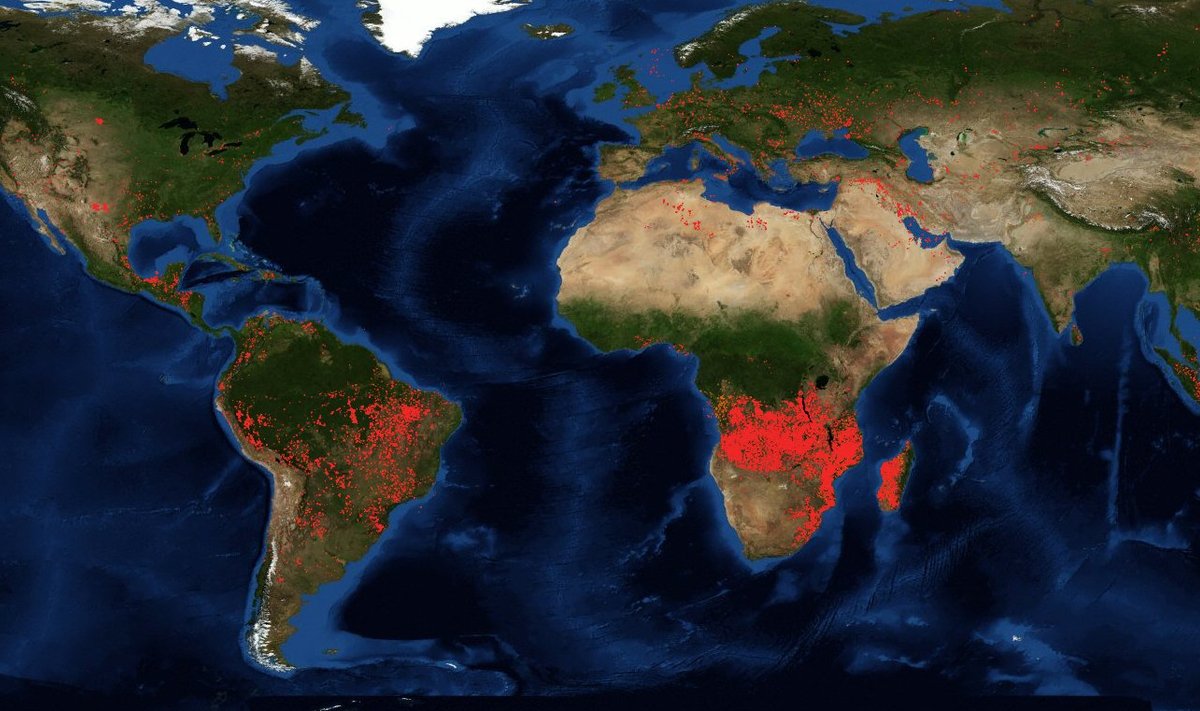 Kaardilt on näha, et Brasiiliast oluliselt intensiivsemalt lõõmavad tulekahjud hoopis Kesk-Aafrikas.