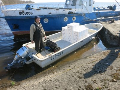 Võrtsjärve kalanduspiirkonna MTÜ juhatuse liige Lauri Koni valmistub klaasangerjate (valgetes termokastides) asustamiseks Võrtsjärve.