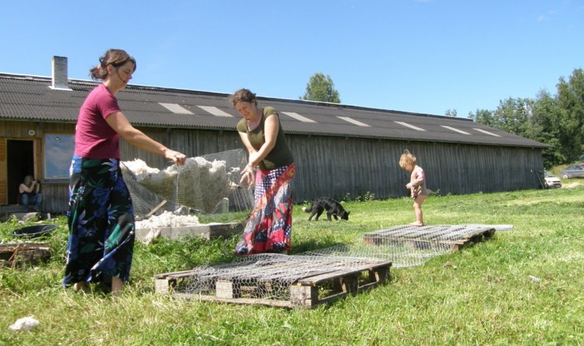 Liilia Tali ja Lilian Freiberg tõstavad villad kaubaalusele kuivama, tagaplaanil Liliani poeg Tõnn ja Rõõmu talu koer Kalle.