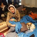 Беженка, оставшаяся без кошки из-за войны, посвятила себя бездомным животным в Пярнуском приюте