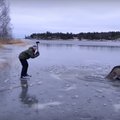 VIDEO: Heasüdamlik paar päästab Rootsis jääauku kukkunud paanikas põdra