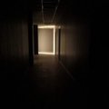ВИДЕО | В Риге открылся необычный "музей в темноте", в котором ничего не видно. Посетители в полном восторге